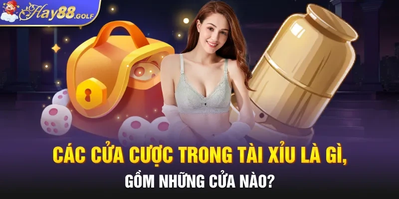 Các cửa cược trong Tài Xỉu là gì, gồm những cửa nào?