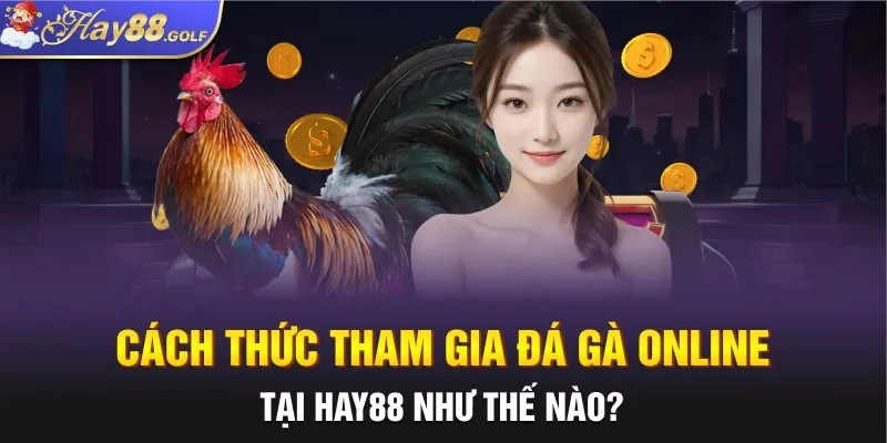 Cách thức tham gia đá gà online tại Hay88 như thế nào?