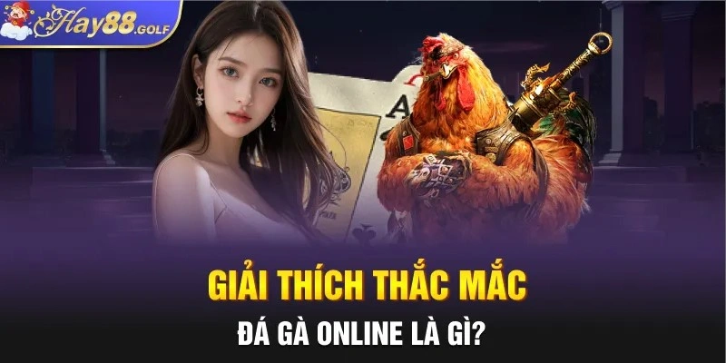 Giải thích thắc mắc: Đá gà online là gì?