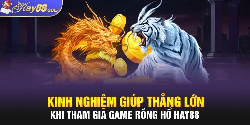 Kinh nghiệm giúp thắng lớn khi tham gia game Rồng Hổ Hay88