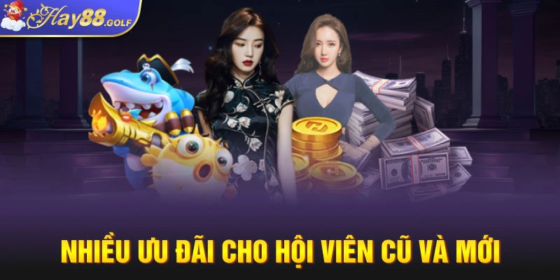 Nhiều ưu đãi cho hội viên cũ và mới