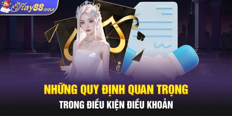 Những quy định quan trọng trong điều kiện điều khoản 