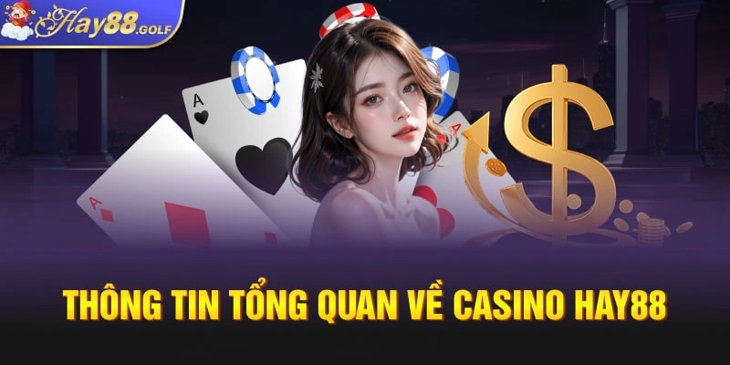 Thông tin tổng quan về casino Hay88