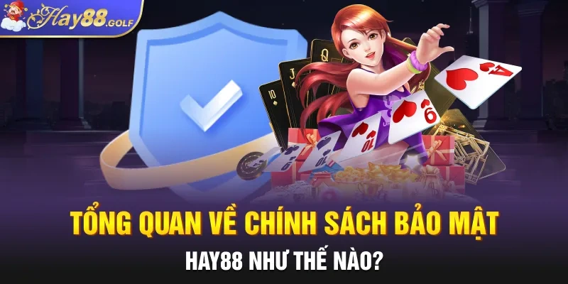 Tổng quan về chính sách bảo mật HAY88 như thế nào?