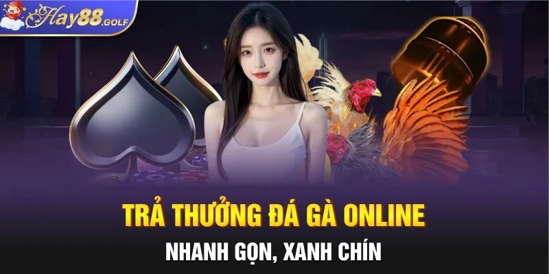 Trả thưởng đá gà online nhanh gọn, xanh chín