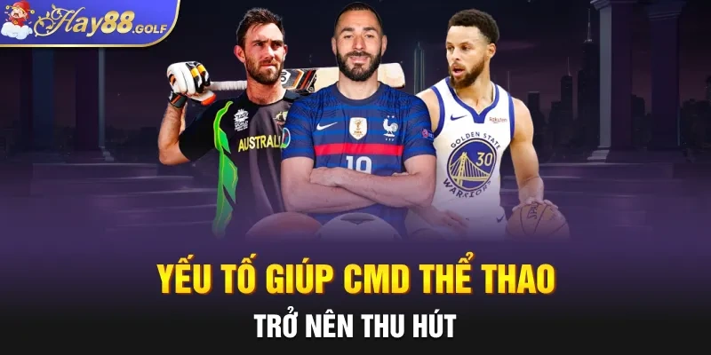 Yếu tố giúp CMD thể thao trở nên thu hút